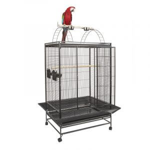 belize parrot cage