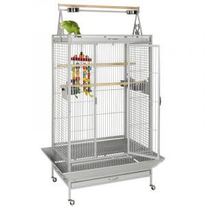 parrot cage
