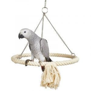 parrot toy