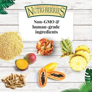 Lafeber NutriBerries Tropical Fruit Complete Parrot Food