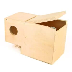 Nest Box Gouldian Finch