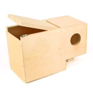 Nest Box Gouldian Finch