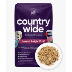 Countrywide Special Budgie Seed