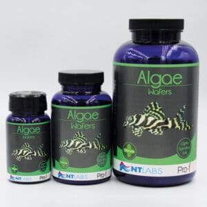 NT Labs Pro-f Algae Wafers